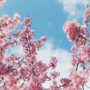 我的总裁老妈3D漫画下拉式
